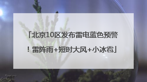 北京10区发布雷电蓝色预警！雷阵雨+短时大风+小冰雹