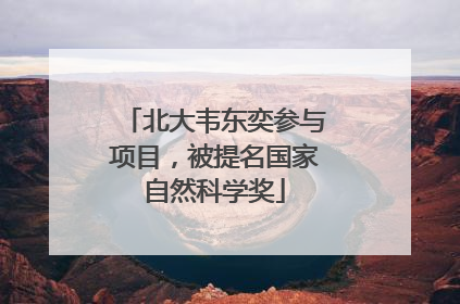 北大韦东奕参与项目，被提名国家自然科学奖