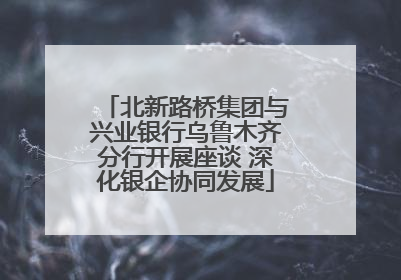 北新路桥集团与兴业银行乌鲁木齐分行开展座谈 深化银企协同发展