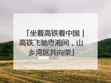 坐着高铁看中国｜高铁飞驰粤湘间，山乡湾区共向荣