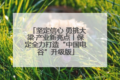 坚定信心 勇挑大梁·产业新亮点丨保定全力打造“中国电谷”升级版