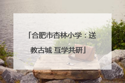 合肥市杏林小学：送教古城 互学共研