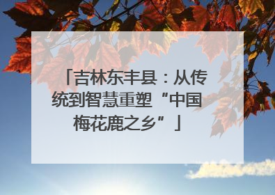 吉林东丰县：从传统到智慧重塑“中国梅花鹿之乡”