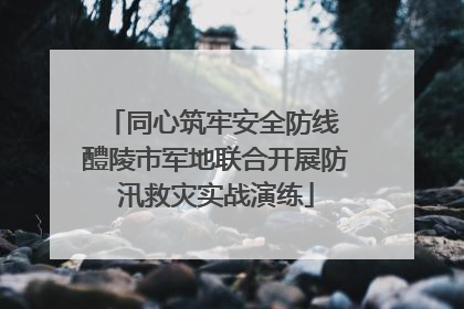 同心筑牢安全防线 醴陵市军地联合开展防汛救灾实战演练