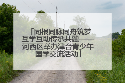 同根同脉同舟筑梦 互学互助传承共融——河西区举办津台青少年国学交流活动