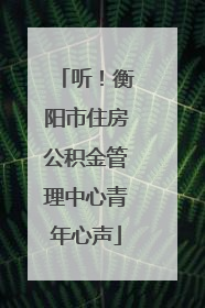 听！衡阳市住房公积金管理中心青年心声