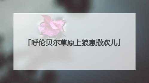 呼伦贝尔草原上狼崽撒欢儿