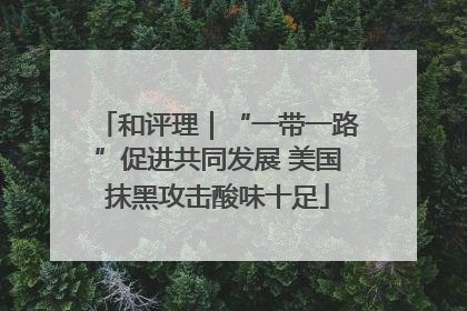 和评理｜“一带一路”促进共同发展 美国抹黑攻击酸味十足