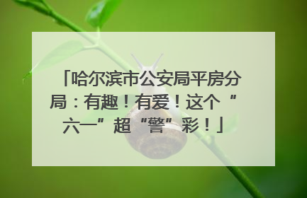 哈尔滨市公安局平房分局：有趣！有爱！这个“六一”超“警”彩！