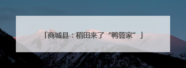 商城县：稻田来了“鸭管家”