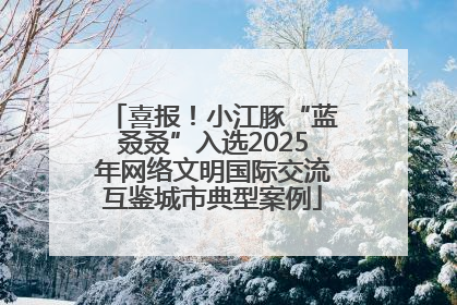 喜报！小江豚“蓝叒叒”入选2025年网络文明国际交流互鉴城市典型案例
