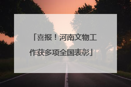 喜报！河南文物工作获多项全国表彰