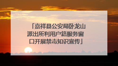 嘉祥县公安局卧龙山派出所利用户籍服务窗口开展禁毒知识宣传