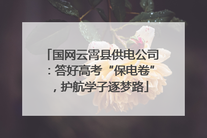 国网云霄县供电公司：答好高考“保电卷”，护航学子逐梦路