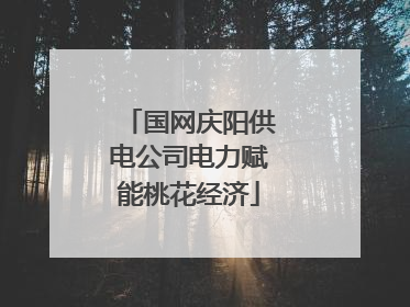 国网庆阳供电公司电力赋能桃花经济