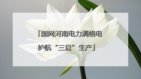 国网河南电力满格电护航“三夏”生产