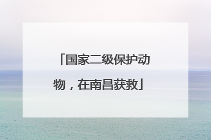国家二级保护动物，在南昌获救