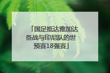 国足抵达雅加达备战与印尼队的世预赛18强赛