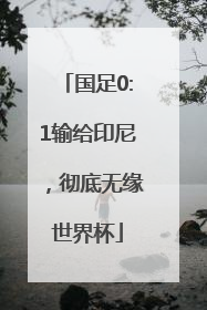 国足0:1输给印尼，彻底无缘世界杯