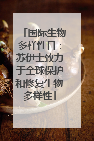 国际生物多样性日：苏伊士致力于全球保护和修复生物多样性