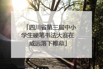 四川省第三届中小学生硬笔书法大赛在威远落下帷幕