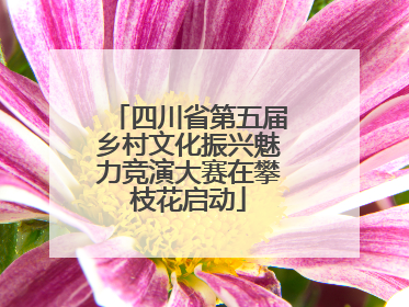 四川省第五届乡村文化振兴魅力竞演大赛在攀枝花启动