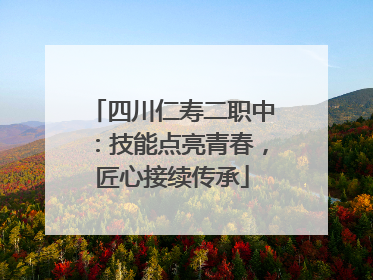 四川仁寿二职中：技能点亮青春，匠心接续传承