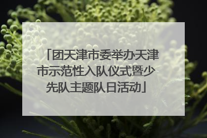 团天津市委举办天津市示范性入队仪式暨少先队主题队日活动