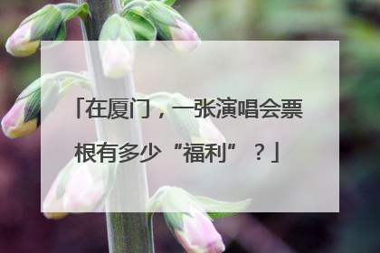 在厦门，一张演唱会票根有多少“福利”？