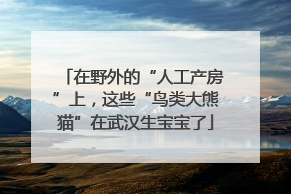在野外的“人工产房”上，这些“鸟类大熊猫”在武汉生宝宝了