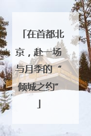 在首都北京，赴一场与月季的“倾城之约”
