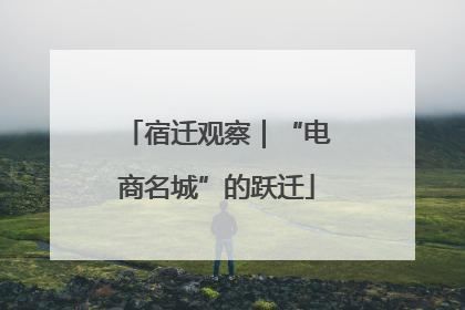宿迁观察｜“电商名城”的跃迁