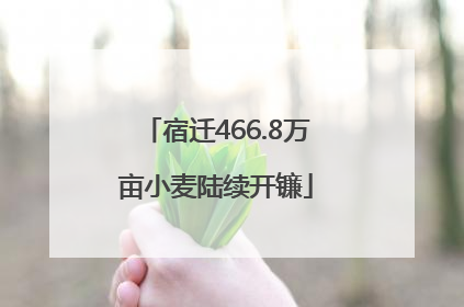 宿迁466.8万亩小麦陆续开镰