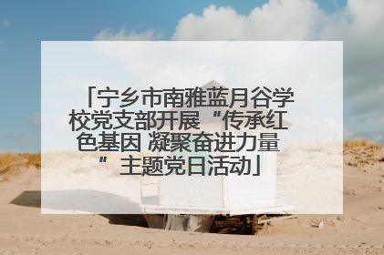 宁乡市南雅蓝月谷学校党支部开展“传承红色基因 凝聚奋进力量”主题党日活动