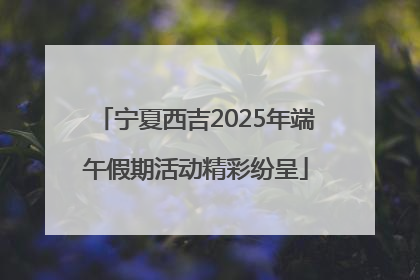 宁夏西吉2025年端午假期活动精彩纷呈