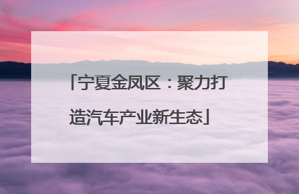 宁夏金凤区：聚力打造汽车产业新生态