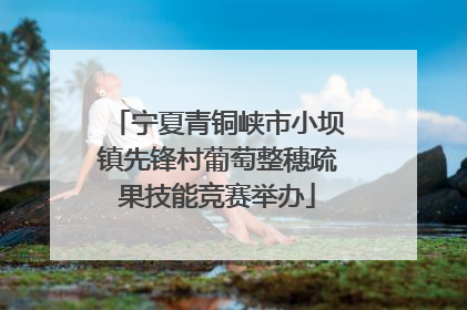 宁夏青铜峡市小坝镇先锋村葡萄整穗疏果技能竞赛举办