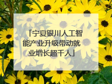 宁夏银川人工智能产业升级带动就业增长超千人