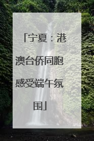 宁夏：港澳台侨同胞感受端午氛围