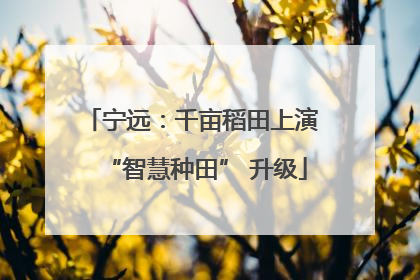宁远：千亩稻田上演 “智慧种田” 升级