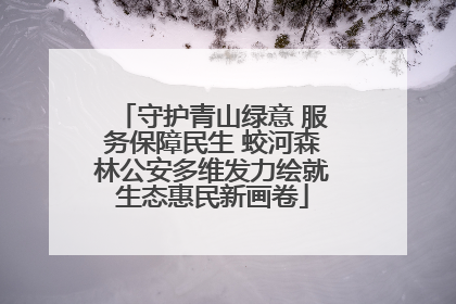 守护青山绿意 服务保障民生 蛟河森林公安多维发力绘就生态惠民新画卷