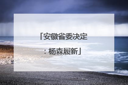 安徽省委决定：杨森履新