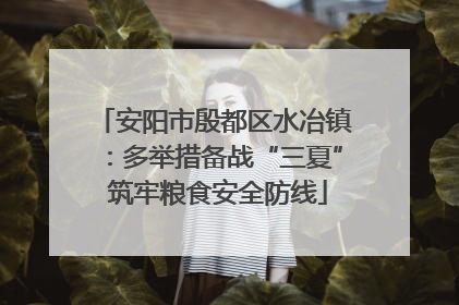 安阳市殷都区水冶镇：多举措备战“三夏” 筑牢粮食安全防线