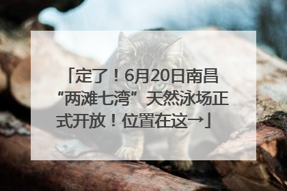 定了！6月20日南昌“两滩七湾”天然泳场正式开放！位置在这→