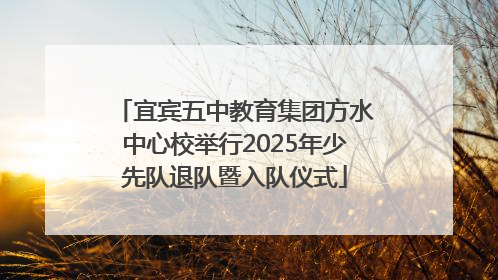 宜宾五中教育集团方水中心校举行2025年少先队退队暨入队仪式