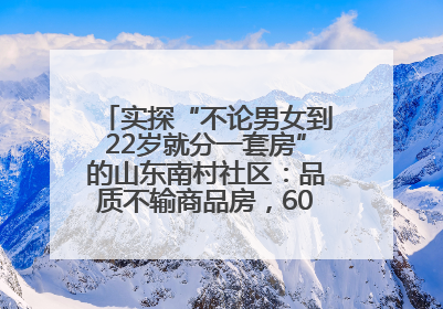 实探“不论男女到22岁就分一套房”的山东南村社区：品质不输商品房，60岁以上老人每年发七千元补贴
