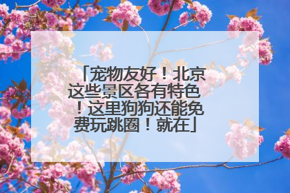 宠物友好！北京这些景区各有特色！这里狗狗还能免费玩跳圈！就在