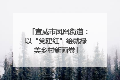 宣威市凤凰街道：以“党建红”绘就绿美乡村新画卷
