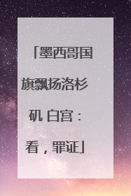 墨西哥国旗飘扬洛杉矶 白宫：看，罪证
