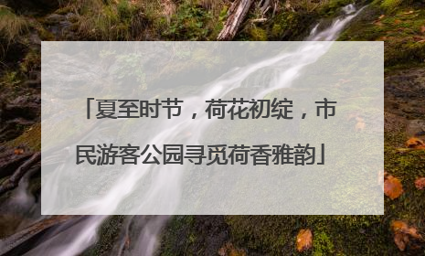夏至时节，荷花初绽，市民游客公园寻觅荷香雅韵